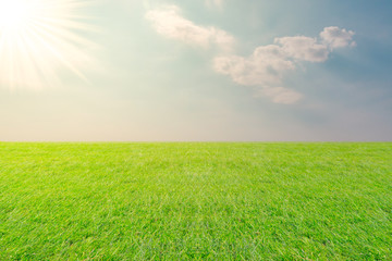 Meadow and Sky landscape background