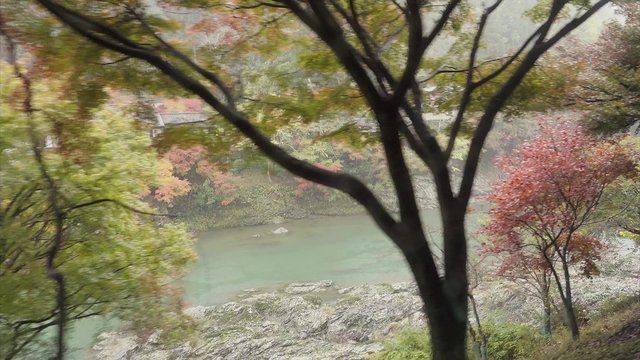 nature landscape view of autumn river while joining Sagano romantic train in Kyoto, Japan
