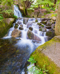 Beautiful Waterfalls in forest.