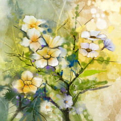 Fototapeta premium Watercolor painting white Cherry blossoms - Japanese cherry - Sakura floral in soft yellow green color and blurred background. Spring flower seasonal nature background