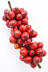ripe coffee beans isolated on white background