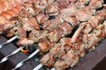 meat skewers on the barbecue coals