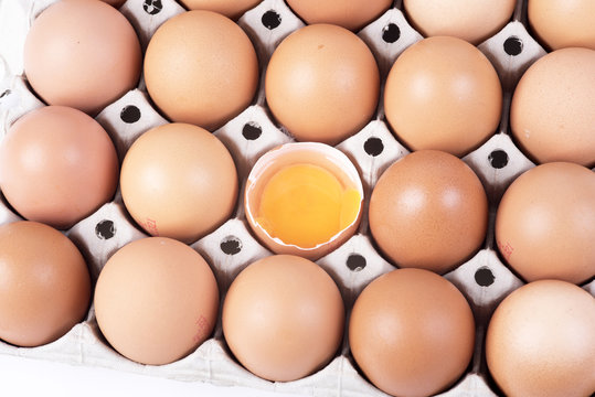 egg yolk in a container