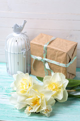 Fototapeta na wymiar Postcard with fresh daffodils flowers, candle and gift box on turquoise painted wooden planks against white wall. Selective focus is on flowers..