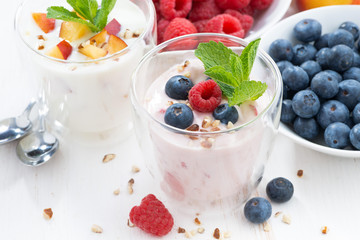 Berry and fruit yoghurt and fresh ingredients on white table