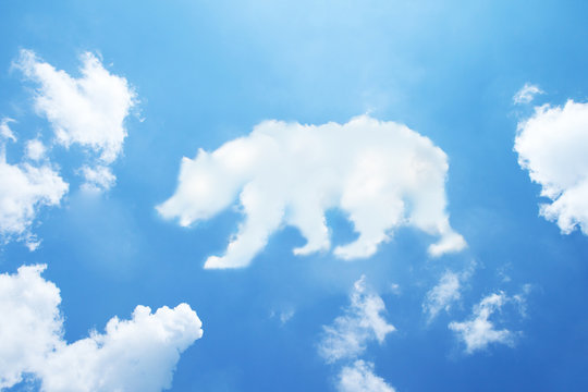 bear cloud shape on sky.