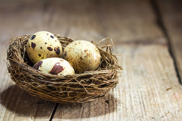 three quail eggs in a nest on a rustic vintage wooden background