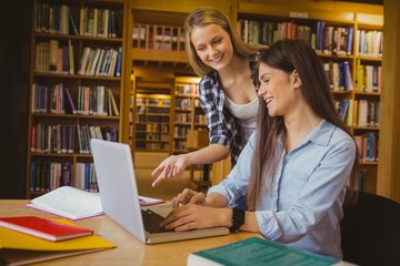 Smiling students using laptop 