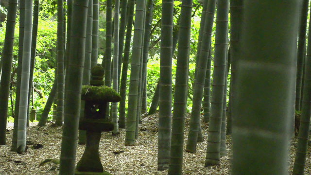 Old Japanese stone lantern at Hokokuji Temple's Bamboo Garden in Kamakura 