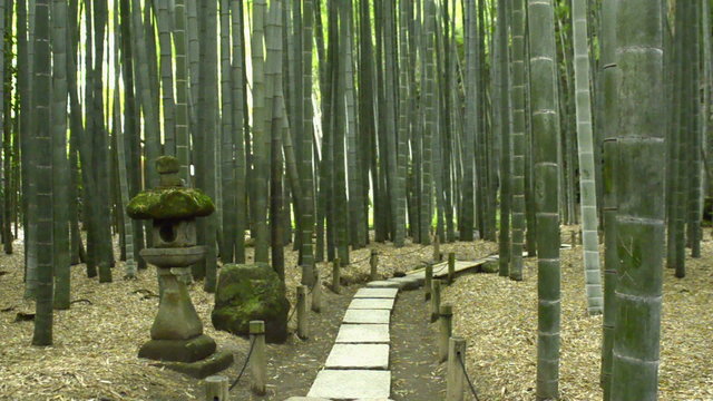 Old Japanese stone lantern at Hokokuji Temple's Bamboo Garden in Kamakura 
