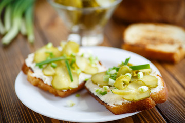 Vegetarian sandwich with cheese, pickles and herbs 