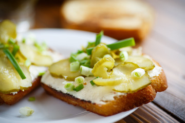 Fototapeta na wymiar Vegetarian sandwich with cheese, pickles and herbs 