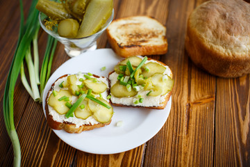 Vegetarian sandwich with cheese, pickles and herbs  © Peredniankina