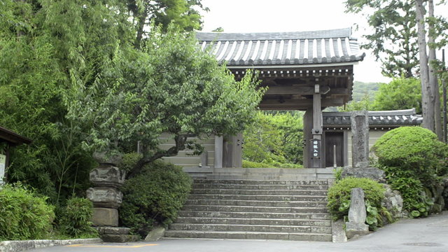 Hokokuji Temple's Bamboo Garden in Kamakura 