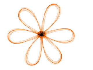 flower drawn orange gradient lines