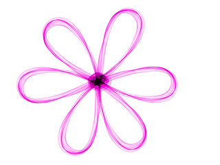 flower drawn purple gradient lines
