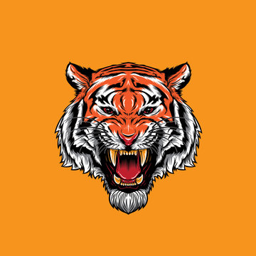 Angry Tiger Head
