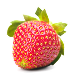 the ripe strawberry