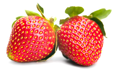 the ripe strawberry