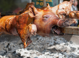 Roasted piggy on fair