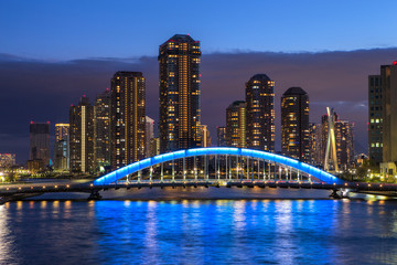 Fototapeta premium 東京夜景・隅田川・永代橋