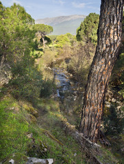 Rio Escorial. La Adrada
