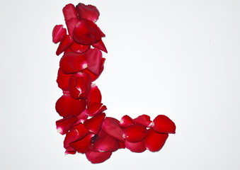 Alphabet letter L made from red petals rose on a white background
