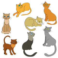 set of  cats