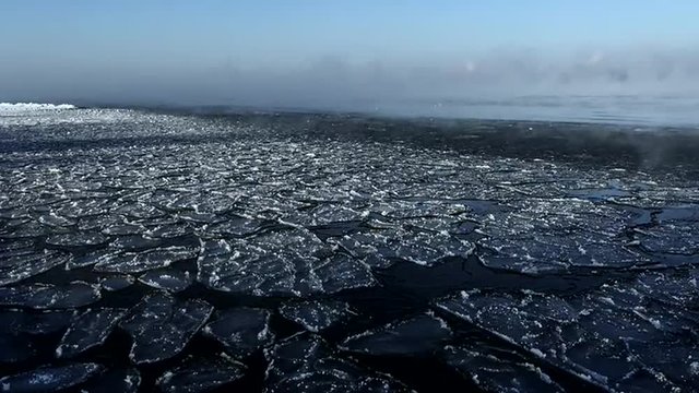 Ice floating on waves in winter, fog over the water