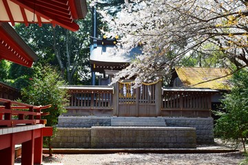 千勝神社／茨城県つくば市にある、千勝神社を撮影した写真です。千勝神社は由緒ある神社で、遠近より大神様の御神徳を仰ぐ崇敬者が絶えません。木造の鳥居では、関東で三本指に数えられる大鳥居です。