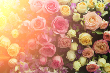 Roses flower bouquet in vintage and light leak color style for v