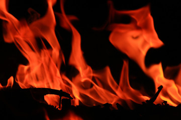 Fototapeta premium Fire