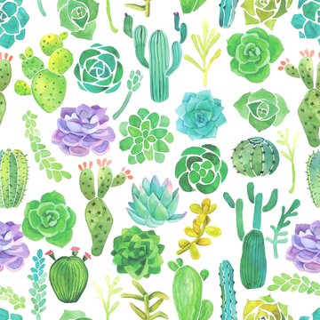 Watercolor cactus and succulent seamless pattern