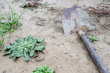 Schaufel - Shovel