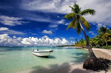 Photo sur Plexiglas Île Saona Tropical Beach République Dominicaine Caraïbes