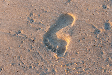Footprint in the sand at sunset. Travel summer concept background
