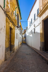 Fototapeta na wymiar Typical nice clean city streets Cordoba, Spain
