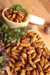Silkworm pupae