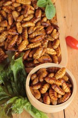 Silkworm pupae