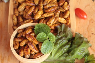 Silkworm pupae