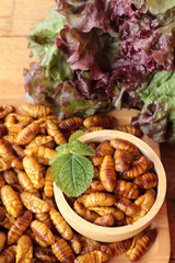 Silkworm pupae