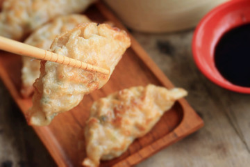 fried dumplings - Japanese food