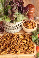 Silkworm pupae