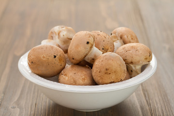 mushrooms in plate on brown wooden background