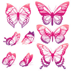 butterflies design - 102420023