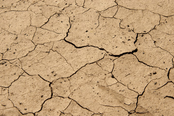 Cracked soil