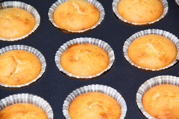 cupcakes in the form of baking