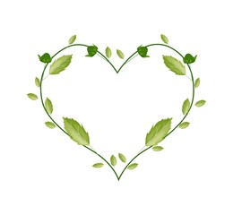 Green Leaves and Flower Buds in Heart Shape