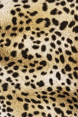 texture of print fabric stripes leopard