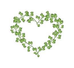 Beautiful Fresh Green Leaves in A Beautiful Heart